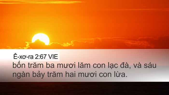 Ê-xơ-ra 2:67 VIE Desktop Wallpaper - bốn trăm ba mươi lăm con lạc đà, và - Desktop Bible Verse Wallpaper
