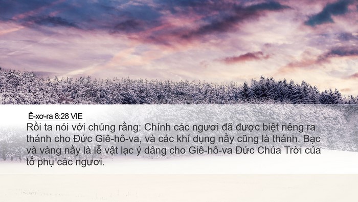 Ê-xơ-ra 8:28 VIE Bible Verse Image