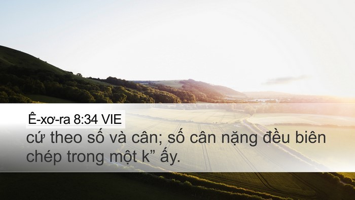 Ê-xơ-ra 8:34 VIE Desktop Wallpaper - cứ theo số và cân; số cân nặng đều - Desktop Bible Verse Wallpaper