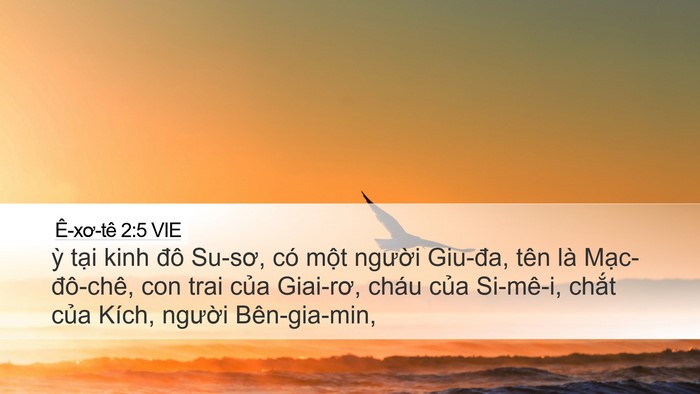 Ê-xơ-tê 2:5 VIE Desktop Wallpaper - ỳ tại kinh đô Su-sơ, có một người - Desktop Bible Verse Wallpaper