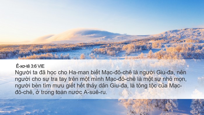 Ê-xơ-tê 3:6 VIE Bible Verse Image