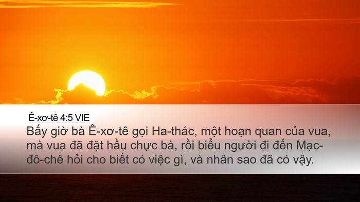 Ê-xơ-tê 4:5 VIE Bible Verse Image