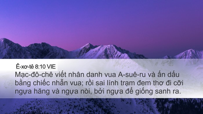 Ê-xơ-tê 8:10 VIE Bible Verse Image