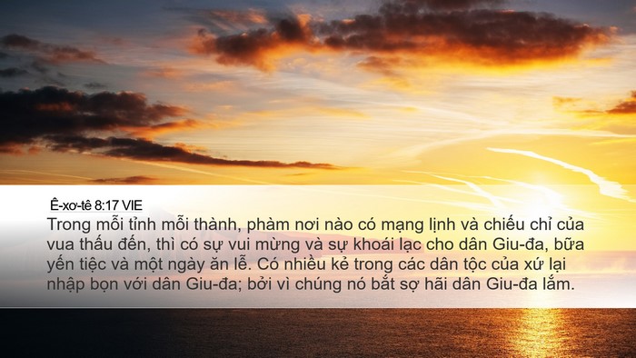 Ê-xơ-tê 8:17 VIE Bible Verse Image