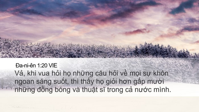 Ða-ni-ên 1:20 VIE Bible Verse Image