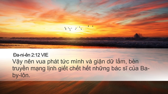 Ða-ni-ên 2:12 VIE Bible Verse Image