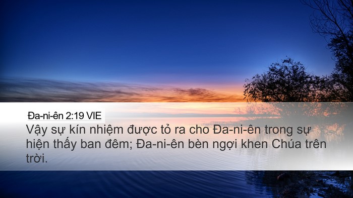 Ða-ni-ên 2:19 VIE Bible Verse Image