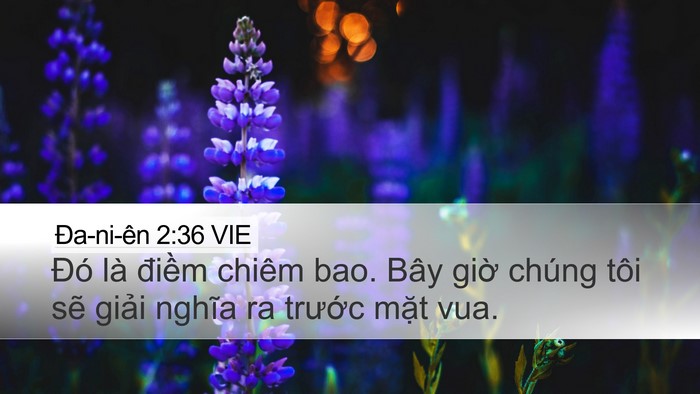 Ða-ni-ên 2:36 VIE Desktop Wallpaper - Đó là điềm chiêm bao. Bây giờ chúng - Desktop Bible Verse Wallpaper