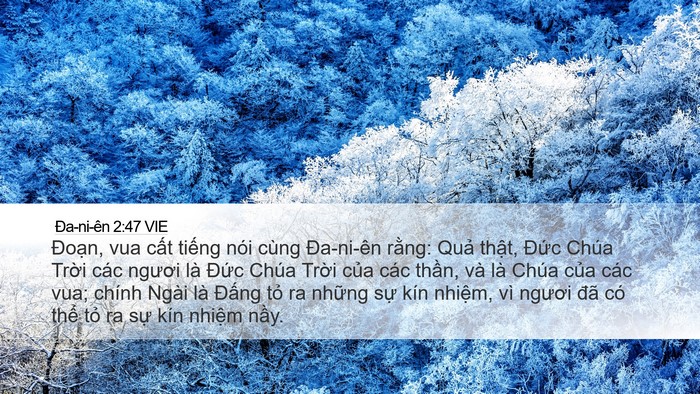 Ða-ni-ên 2:47 VIE Bible Verse Image