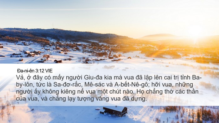 Ða-ni-ên 3:12 VIE Bible Verse Image