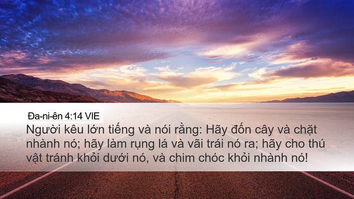 Ða-ni-ên 4:14 VIE Bible Verse Image
