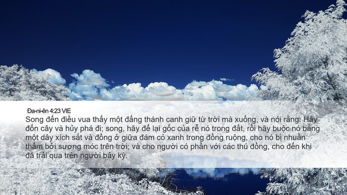 Ða-ni-ên 4:23 VIE Bible Verse Image