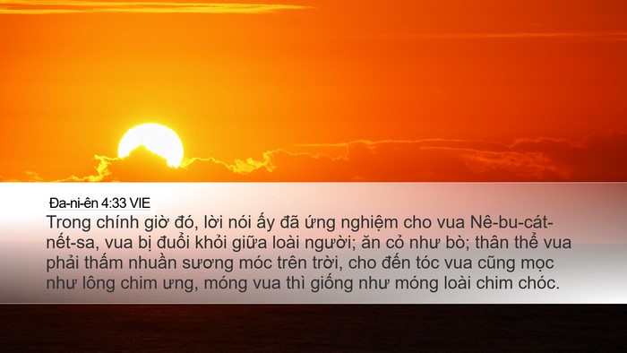 Ða-ni-ên 4:33 VIE Bible Verse Image