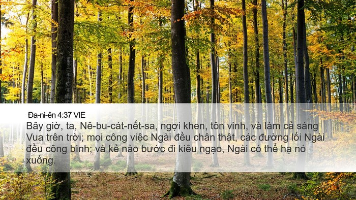 Ða-ni-ên 4:37 VIE Bible Verse Image