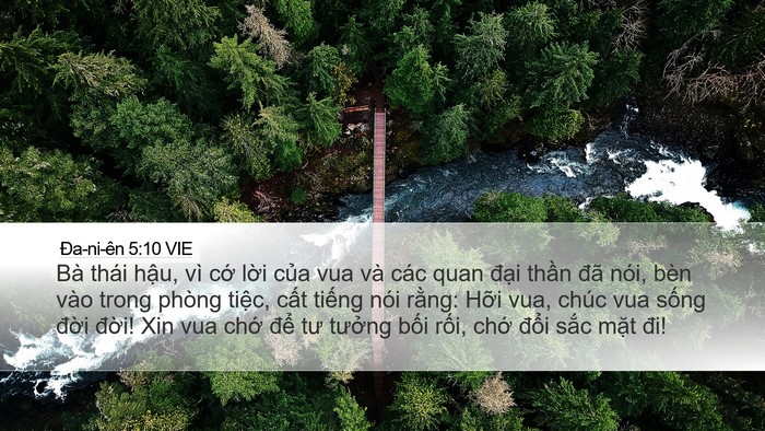 Ða-ni-ên 5:10 VIE Desktop Wallpaper - Bà thái hậu, vì cớ lời của vua và - Desktop Bible Verse Wallpaper