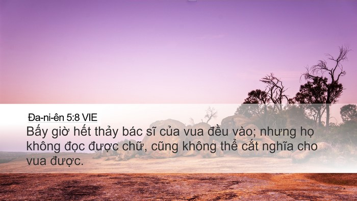 Ða-ni-ên 5:8 VIE Bible Verse Image