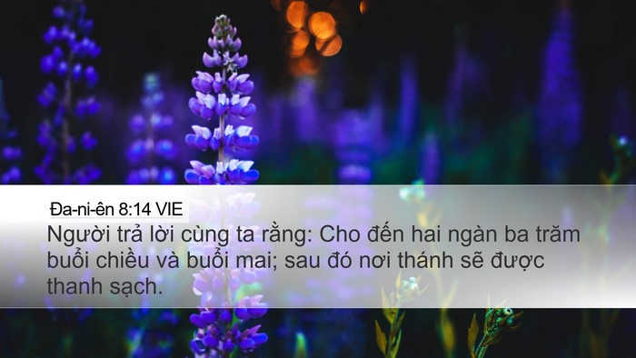 Ða-ni-ên 8:14 VIE Desktop Wallpaper - Người trả lời cùng ta rằng: Cho đến - Desktop Bible Verse Wallpaper