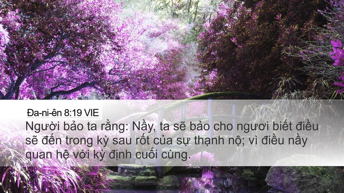 Ða-ni-ên 8:19 VIE Bible Verse Image