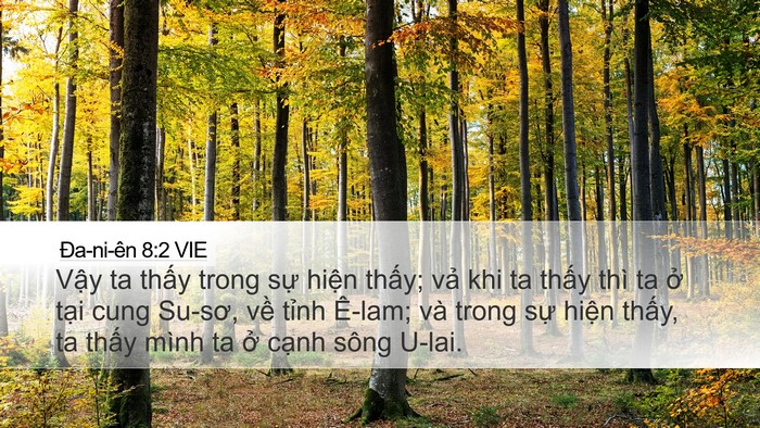 Ða-ni-ên 8:2 VIE Bible Verse Image