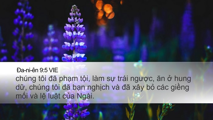 Ða-ni-ên 9:5 VIE Bible Verse Image