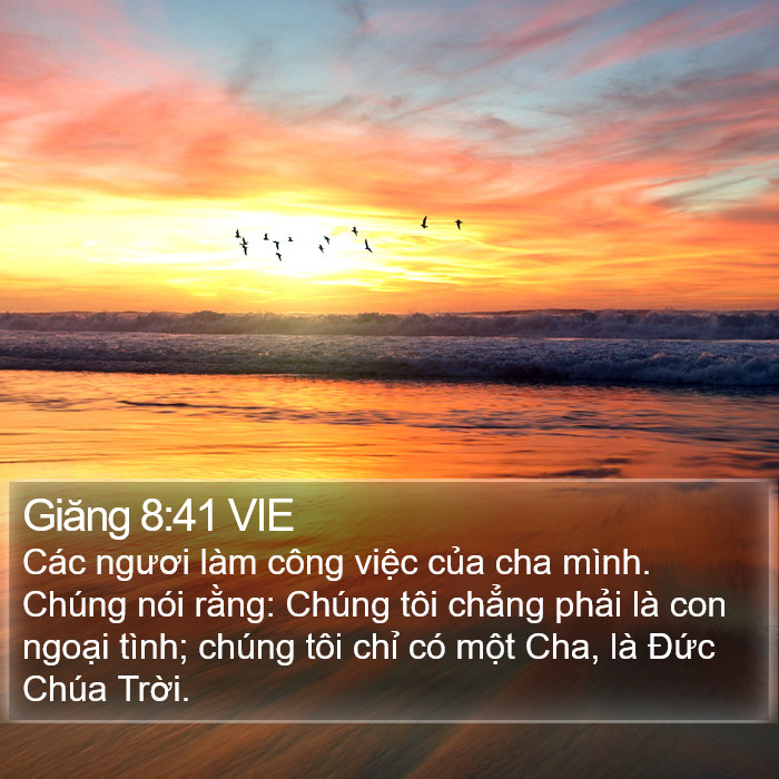 Giăng 8:41 VIE - Các ngươi làm công việc của cha mình.
