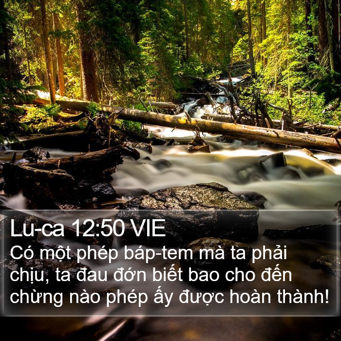 Lu-ca 12:50 VIE - Có một phép báp-tem mà ta phải chịu, ta