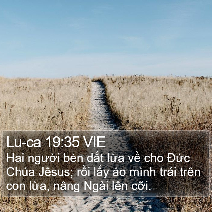 Lu-ca 19:35 VIE - Hai người bèn dắt lừa về cho Đức