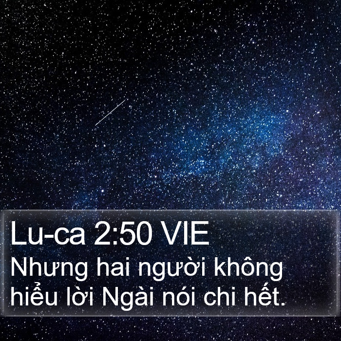 Lu-ca 2:50 VIE - Nhưng hai người không hiểu lời Ngài