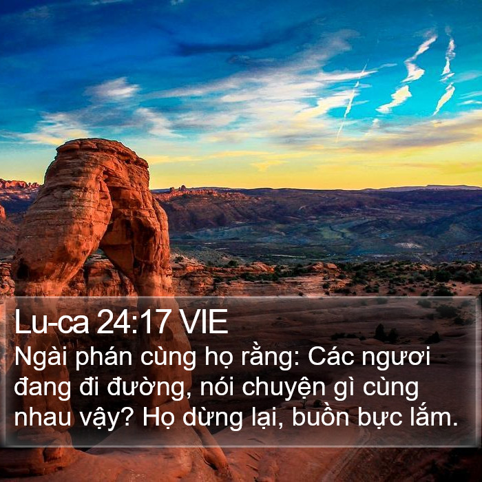 Lu-ca 24:17 VIE - Ngài phán cùng họ rằng: Các ngươi đang