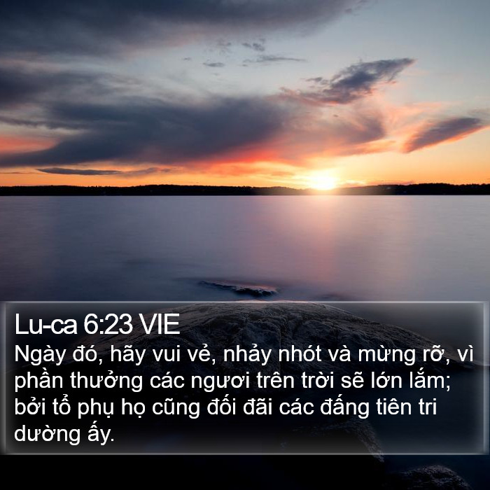 Lu-ca 6:23 VIE - Ngày đó, hãy vui vẻ, nhảy nhót và