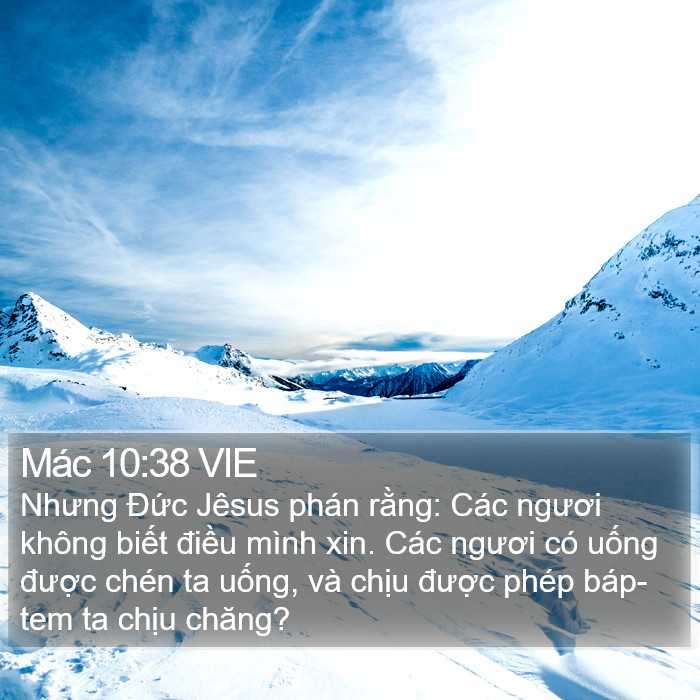 Mác 10:38 VIE - Nhưng Đức Jêsus phán rằng: Các ngươi