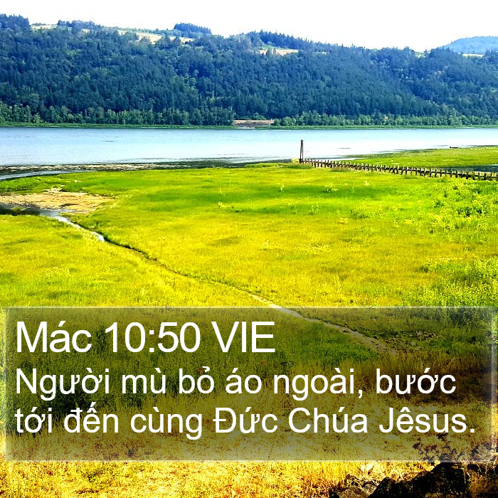 Mác 10:50 VIE - Người mù bỏ áo ngoài, bước tới
