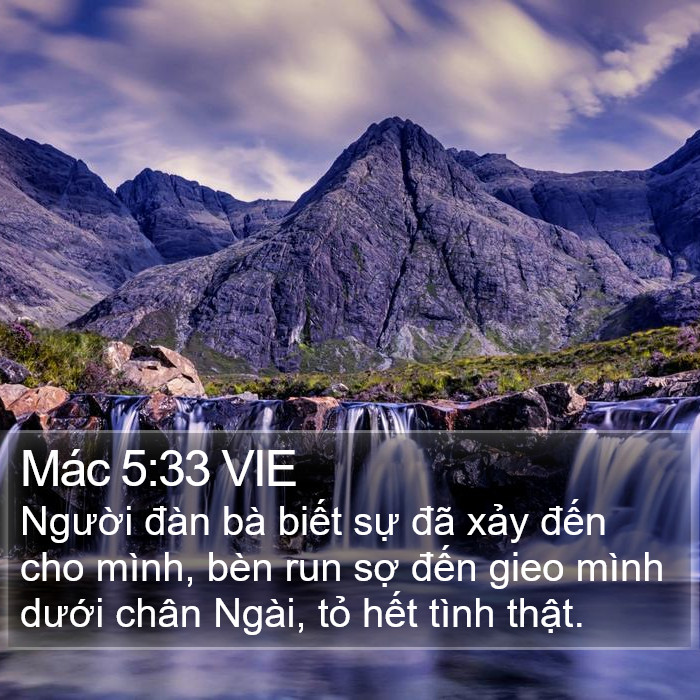 Mác 5:33 VIE - Người đàn bà biết sự đã xảy đến