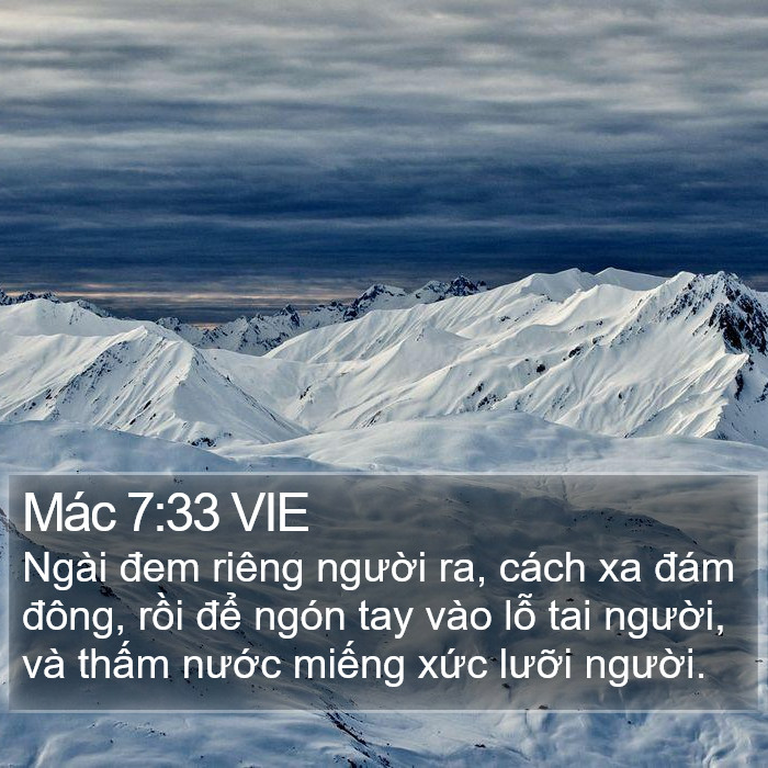 Mác 7:33 VIE - Ngài đem riêng người ra, cách xa đám