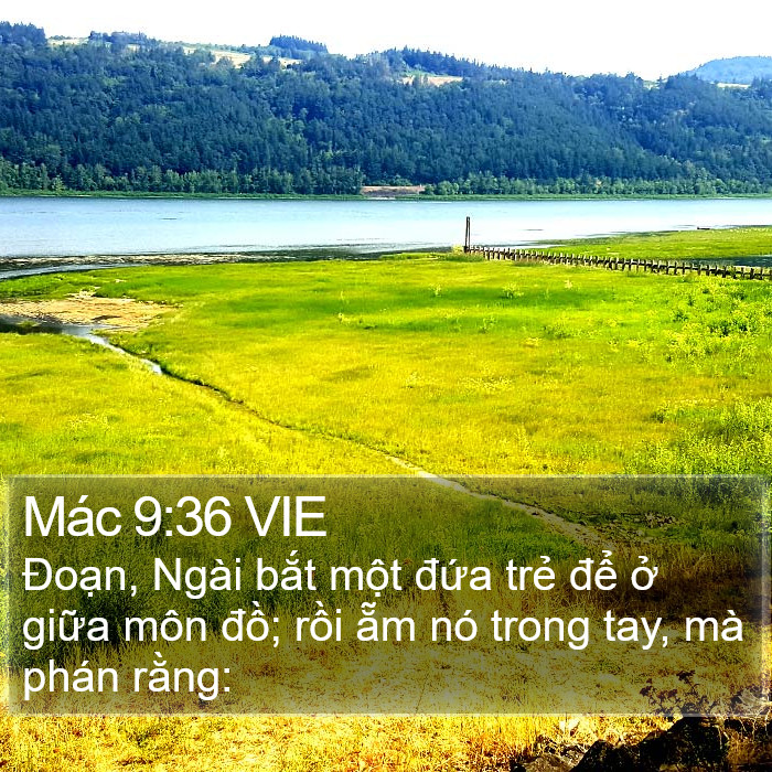 Mác 9:36 VIE - Đoạn, Ngài bắt một đứa trẻ để ở