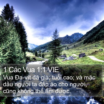 1 Các Vua 1:1 VIE Bible Verse Image