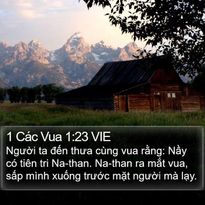 1 Các Vua 1:23 VIE Bible Verse Image