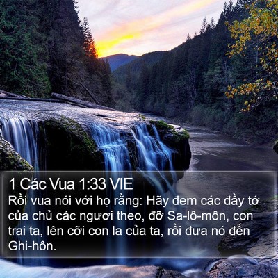 1 Các Vua 1:33 VIE Bible Verse Image