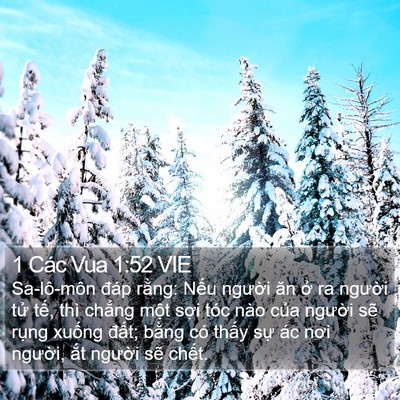 1 Các Vua 1:52 VIE Bible Verse Image