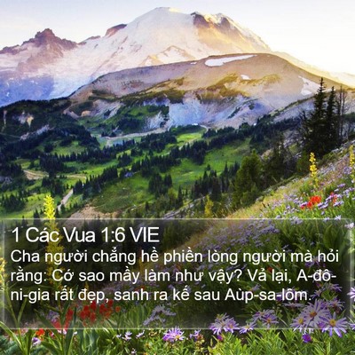 1 Các Vua 1:6 VIE Bible Verse Image