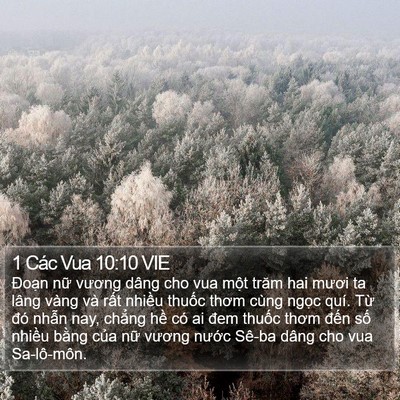 1 Các Vua 10:10 VIE Bible Verse Image