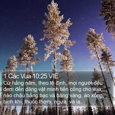 1 Các Vua 10:25 VIE Bible Verse Image