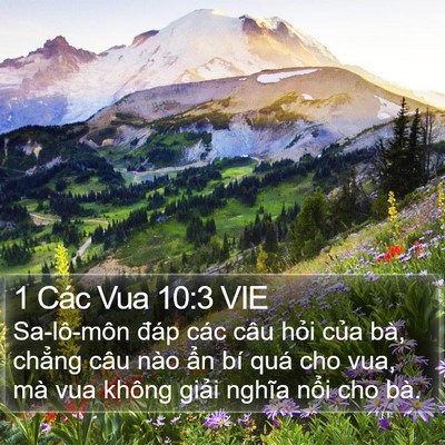 1 Các Vua 10:3 VIE Bible Verse Image
