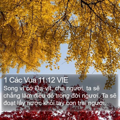 1 Các Vua 11:12 VIE Bible Verse Image