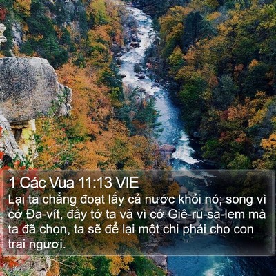 1 Các Vua 11:13 VIE Bible Verse Image