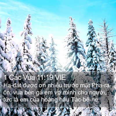 1 Các Vua 11:19 VIE Bible Verse Image
