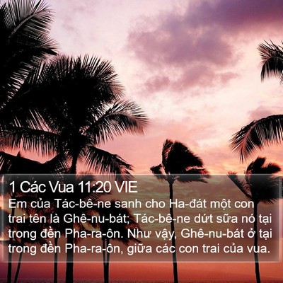 1 Các Vua 11:20 VIE Bible Verse Image