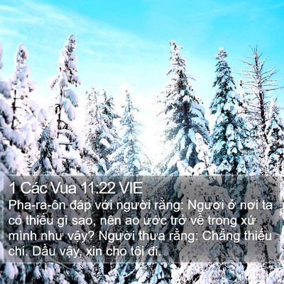 1 Các Vua 11:22 VIE Bible Verse Image