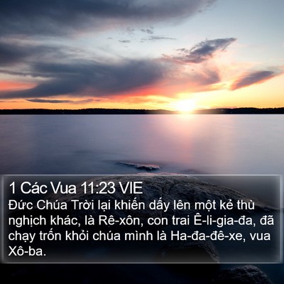 1 Các Vua 11:23 VIE Bible Verse Image