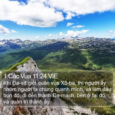 1 Các Vua 11:24 VIE Bible Verse Image